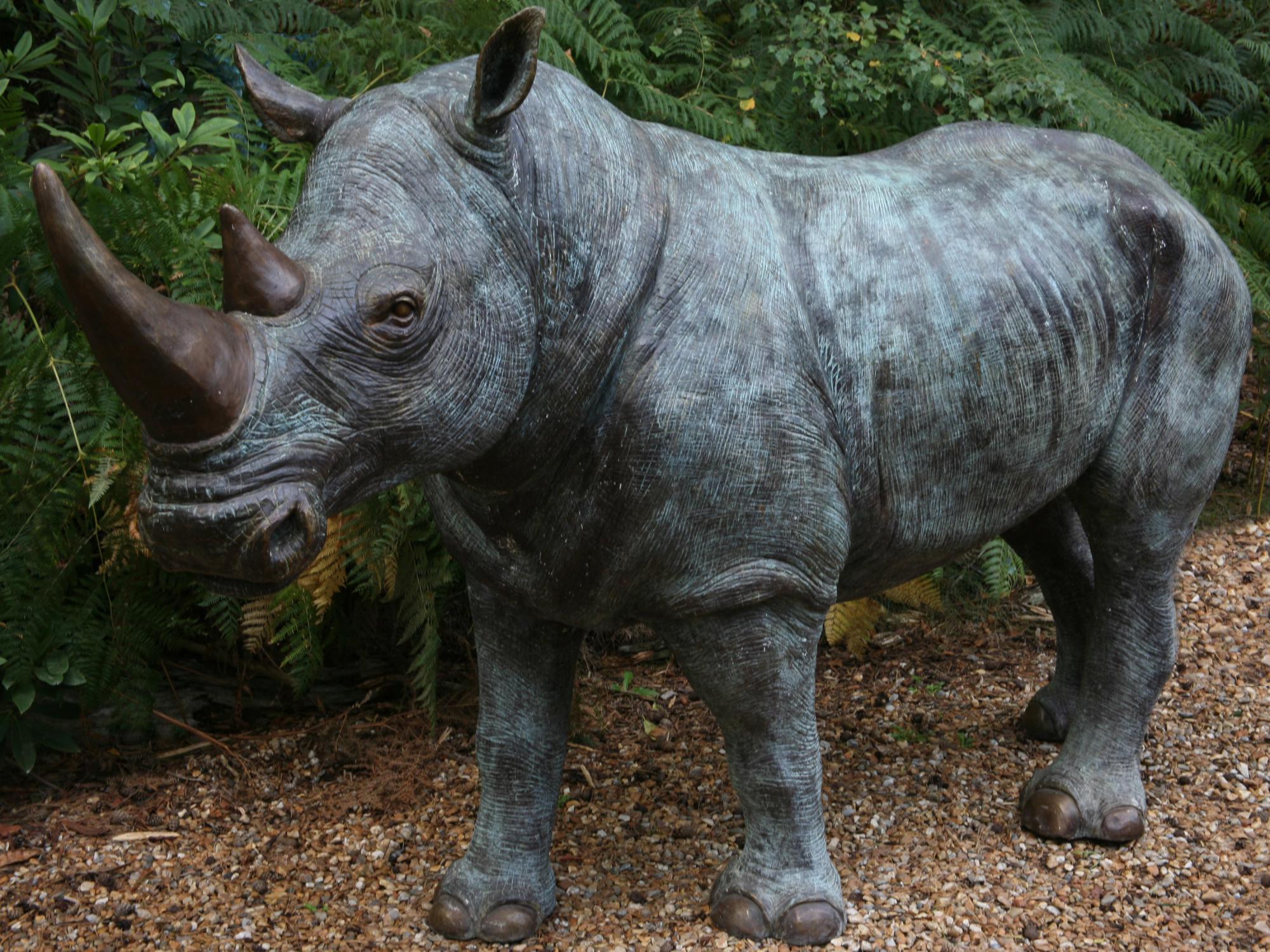 Sculpture: John Cox, Born 1941, White rhinoceros , Bronze , 154cm high by 70cm wide by 270cm deep