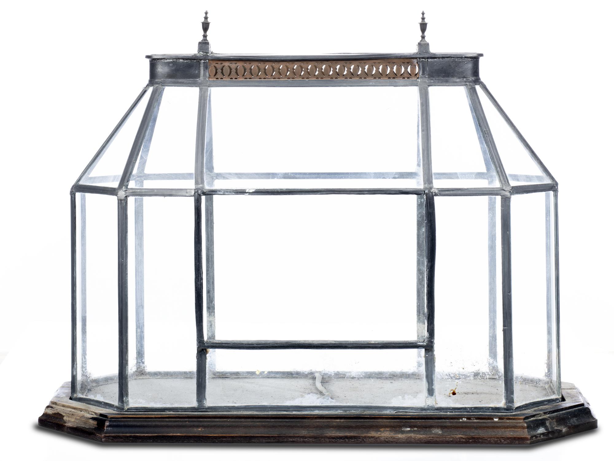 Horticultural: An Edwardian glazed terrarium on wooden base, circa 1910, 51cm high by 58cm long