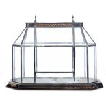 Horticultural: An Edwardian glazed terrarium on wooden base, circa 1910, 51cm high by 58cm long