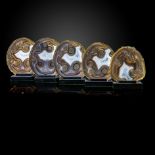 Interior Design/Ornament: A set of five agate slices, Brazil, the largest 21cm high