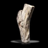 Interior Design/Ornament: A large fossilised wood branch section, 79cm