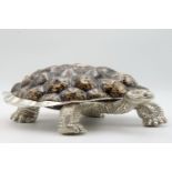 Collectables/Interior Design: Jewellery Casket Silvered turtle & limpet shells 16cm high by 35cm