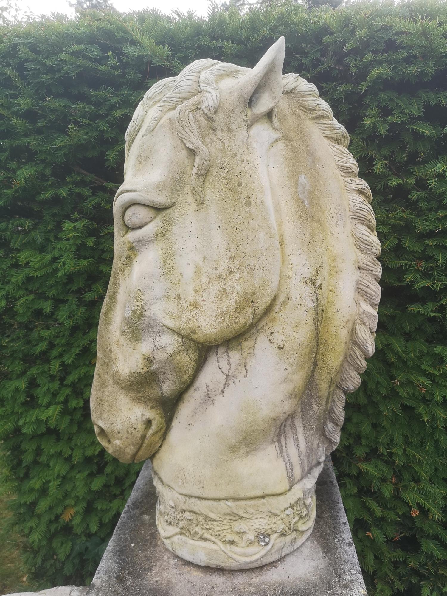 Garden Statuary/Equestrian: A composition stone horses head modern 86cm high