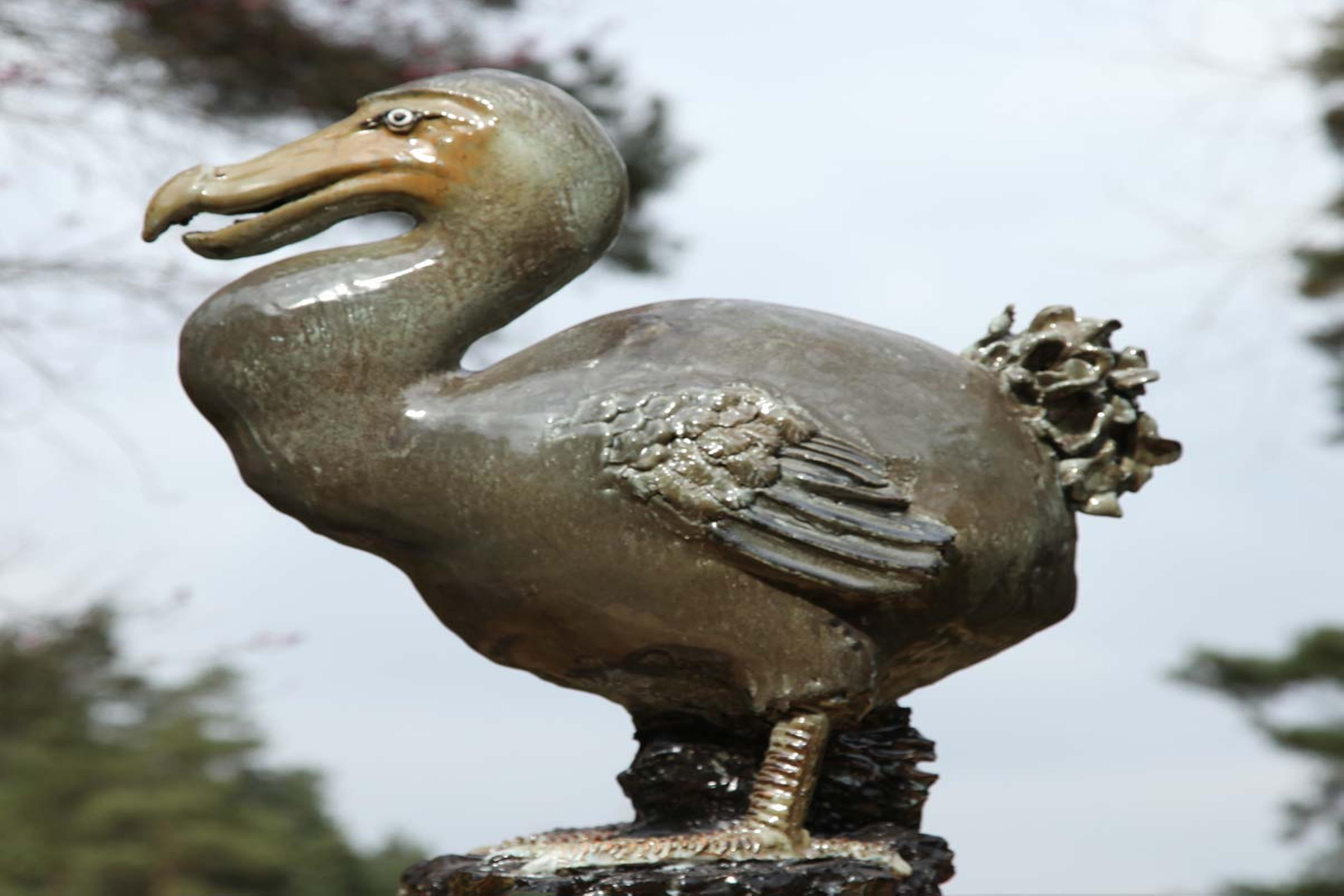 Sculpture: Colin Kellam Dodo Stoneware Unique 56cm high