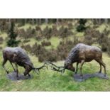 Sculpture: John Cox, Born 1941 A pair of red deer stags Bronze with a variegated red-brown
