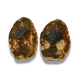 Minerals/Interior Design: A pair of rare agatised fossil wood slicesLyme Regis, Jurassic19cm