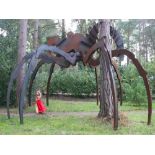 Sculpture: † Wilfred PritchardGiant TarantulaMild steel680cm wide by 640cm deep by 420cm high