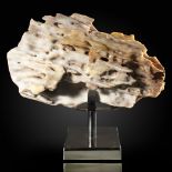 Minerals/Interior Design: An agatised fossil wood on standoverall 28cm high by 32cm wide