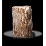 Minerals/Interior Design: A massive fossilised wood trunk62cm