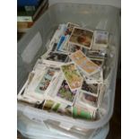 Box of mixed cigarette cards