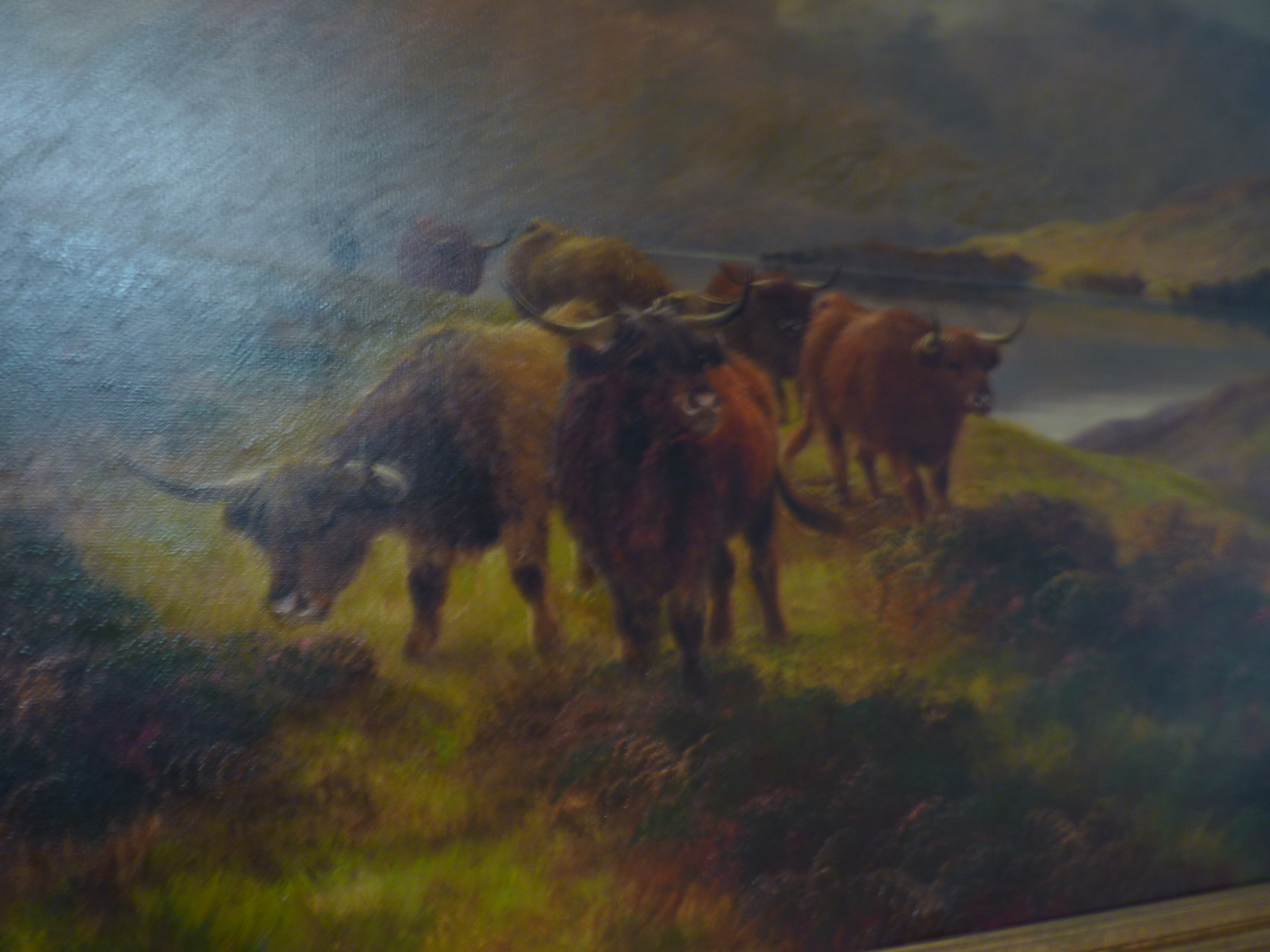 Pair of Highland cattle oils on canvas by Henry Robinson Hall (1859-1927) size 60cm x 90 cm - Image 12 of 14