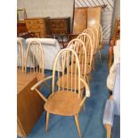 Set of 6 Ercol dining chairs