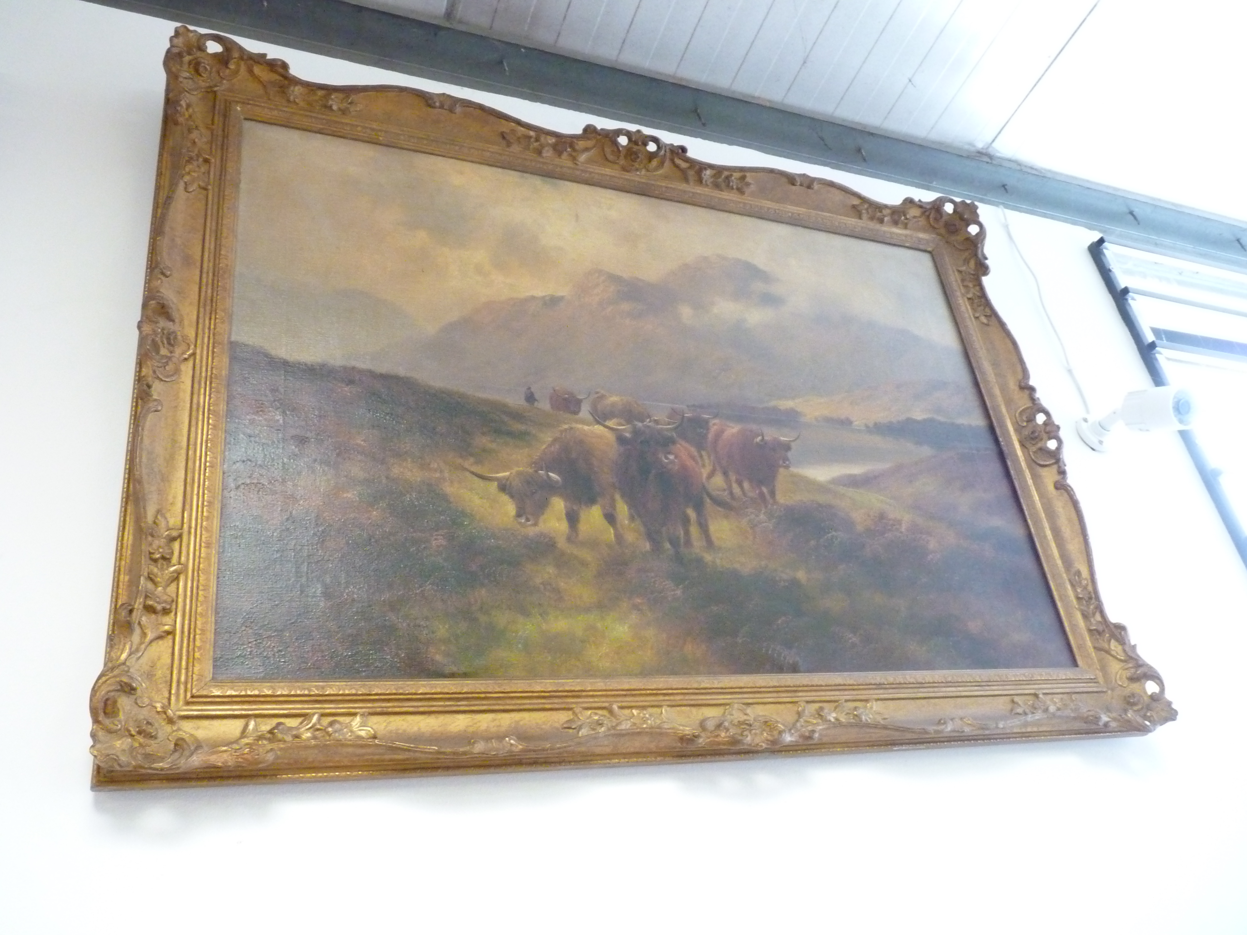 Pair of Highland cattle oils on canvas by Henry Robinson Hall (1859-1927) size 60cm x 90 cm - Image 2 of 14