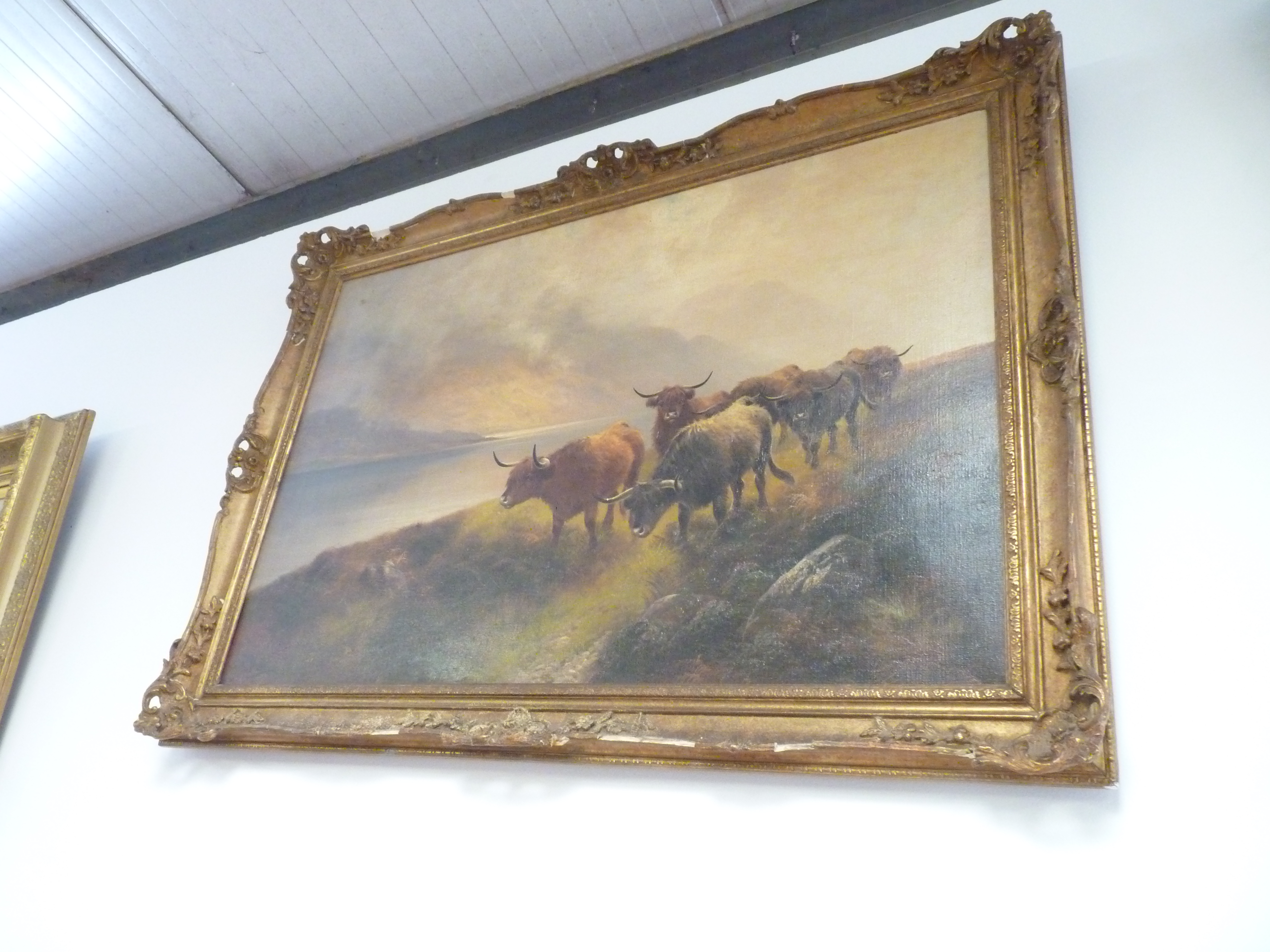 Pair of Highland cattle oils on canvas by Henry Robinson Hall (1859-1927) size 60cm x 90 cm - Image 6 of 14