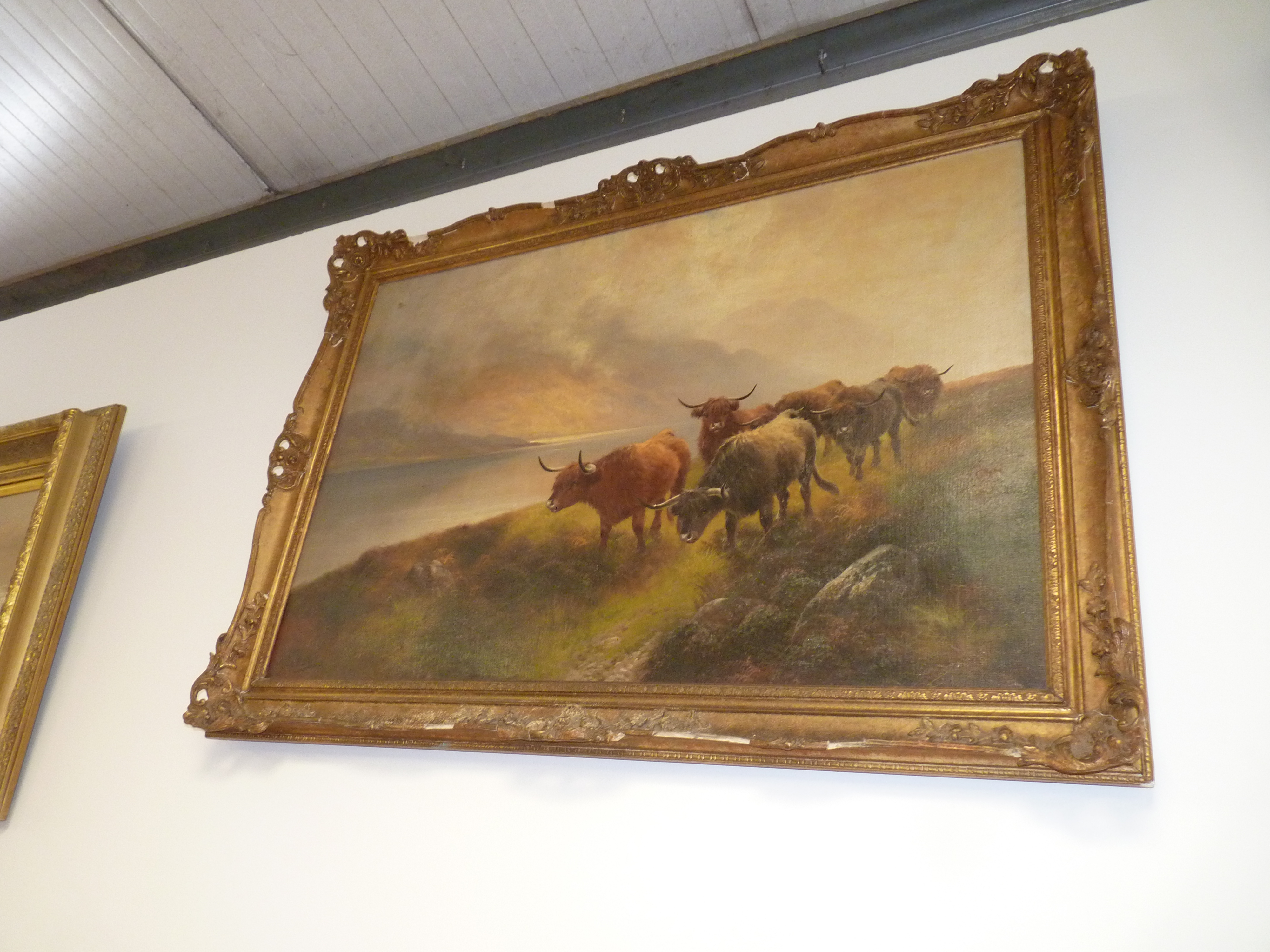 Pair of Highland cattle oils on canvas by Henry Robinson Hall (1859-1927) size 60cm x 90 cm - Image 3 of 14