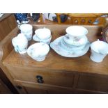 Shelley Wild Flowers 19pc Tea Service