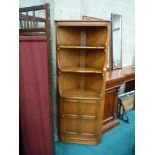 Ercol standing corner cupboard