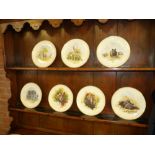 Collection of Decorative Wildlife Plates