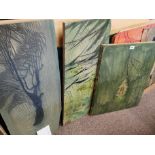 Trio of Woodland Nature Woodcut Engraving Art Pieces, by Pauline Jacobsen