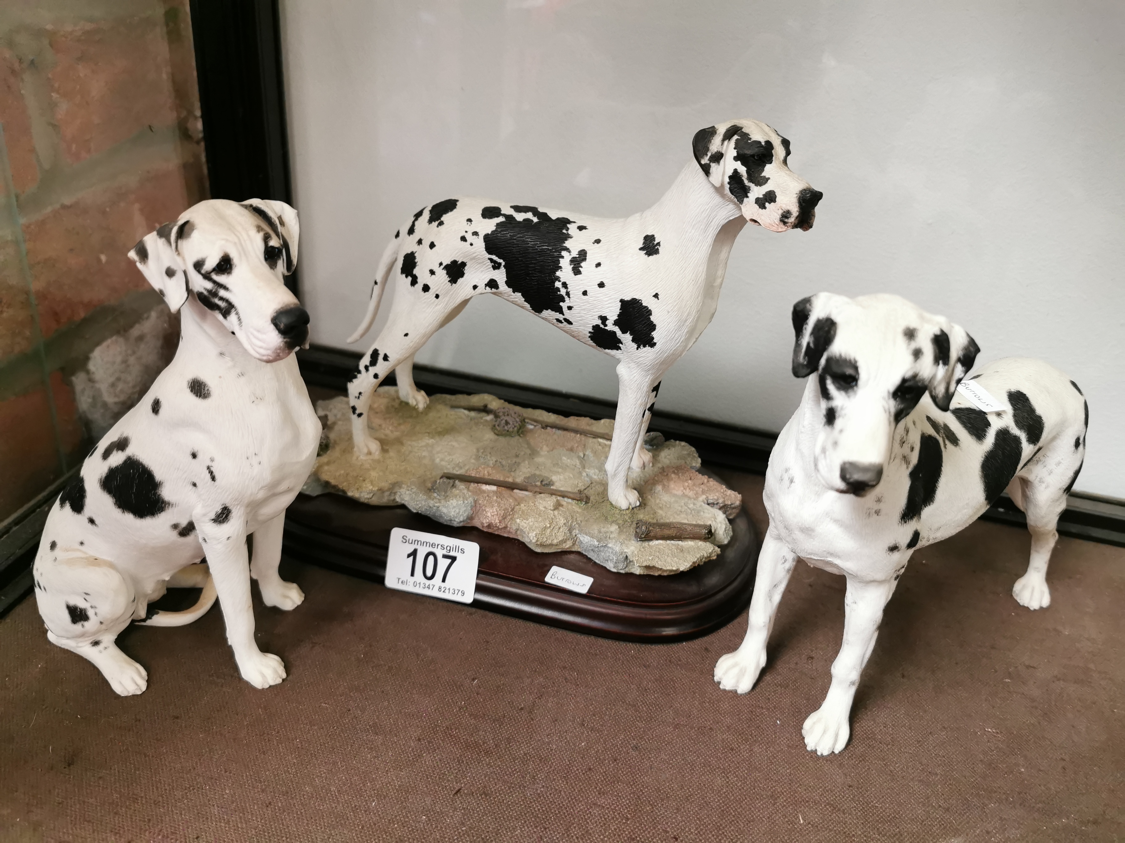 Trio of Spotted Great Dane Resin Figures inc Best of Breed