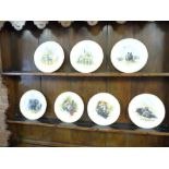 Collection of Wedgwood David Shepherd Wildlife Plates