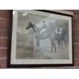 Print of racehorse Diamond Jubilee by Adrian Jones 1900