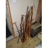 Collection of over 25 walking sticks