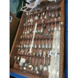 Collection of commemorative spoons in display case