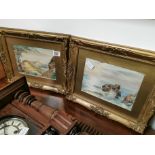 Pair of paintings by Constance Edwards in gilt frames 40cm x 35cm