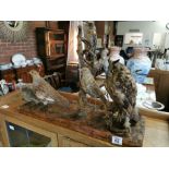 Ornithological Owl/Bird Taxidermy Display - 64cm by 22cm