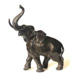 A LARGE EARLY 20TH CENTURY BRONZE STATUE OF AN AFRICAN ELEPHANT. (55cm x 60cm)