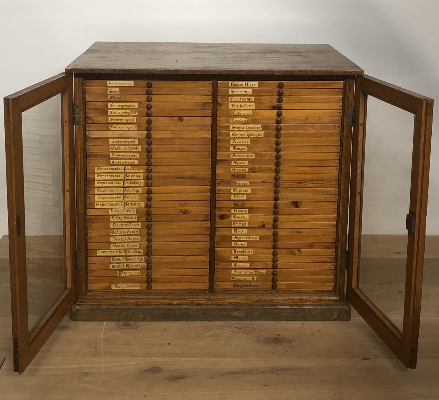 A VICTORIAN OAK SCIENTISTS COLLECTORS CABINET With two glazed doors enclosing 60 drawers, bearing - Image 2 of 4