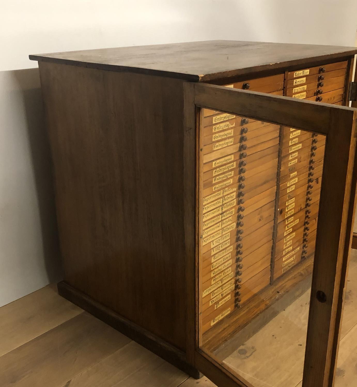 A VICTORIAN OAK SCIENTISTS COLLECTORS CABINET With two glazed doors enclosing 60 drawers, bearing - Image 3 of 4