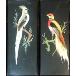 A PAIR OF EARLY 20TH FEATHER PICTURES Exotic birds perched on branches Framed at glazed 31 x 74cm