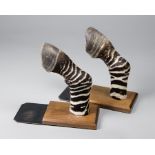 A 20TH CENTURY TAXIDERMY PAIR OF BURCHELL'S ZEBRA BOOKENDS. (h 30cm x w 29cm x d 13cm)