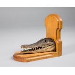 A 20TH CENTURY TAXIDERMY ALLIGATOR BOOKEND. (h 19cm x w 20cm x d 12cm)