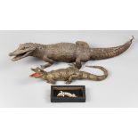 A LATE 19TH/EARLY 20TH CENTURY TAXIDERMY GROUP OF REPTILES, COMPRISING OF TWO CROCODILES AND A CASED