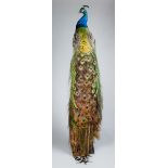 A 21ST CENTURY TAXIDERMY PEACOCK MOUNTED ON A WOODEN PEDESTAL. (h 205cm)