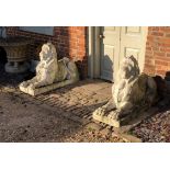 A PAIR OF LATE VICTORIAN/EDWARDIAN RECONSTITUTED STONE STATUES OF LIONS Painted and weathered. (l