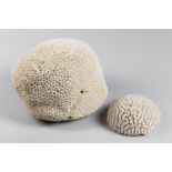 TWO NATURAL CORALS, INCLUDING A BRAIN CORAL. (largest h 22cm x w 25cm x d 25cm)