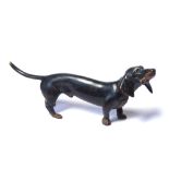 GESCHUTZT, AN EARLY 20TH CENTURY AUSTRIAN COLD PAINTED BRONZE DOG Modelled as a Daschund in standing