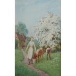 JOSEPH KIRKPATRICK, 1872 - 1936, WATERCOLOUR Milkmaid with calf's, blossom time, signed, framed
