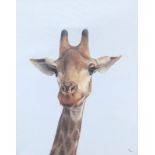 A LIMITED EDITION PRINT ON CANVAS (46/50) Giraffe, indistinctly signed and numbered. (81cm x 101cm)