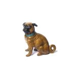 GESCHUTZT, AN AUSTRIAN COLD PAINTED BRONZE DOG Modelled as a pug in seated pose, marked to base. (