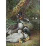 A 20TH CENTURY OIL ON CANVAS LANDSCAPE Ducks by a pond with chicks, signed lower right, in carved