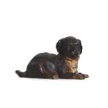 BERGMAN, A LARGE COLD PAINTED BRONZE STATUE OF A PUPPY. (17cm)