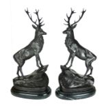 AFTER JULES MOIGNIEZ, A PAIR OF BRONZE STATUES OF STAGGS On a naturalistic black marble plinth.