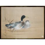 A FINE 19TH CENTURY CHINESE WATERCOLOUR Ducks, signed, framed and glazed.