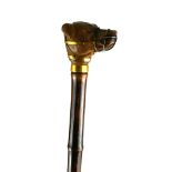AN EARLY 20TH CENTURY WALKING CANE The handle finely carved in the form of a muzzled dog with
