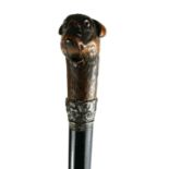 AN EDWARDIAN WALKING STICK With carved handle in the form of pug with articulated mouth and glass